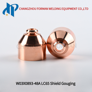 W03X0893-48A Щит для строжки Kp2844-12, подходящий для горелки LC65