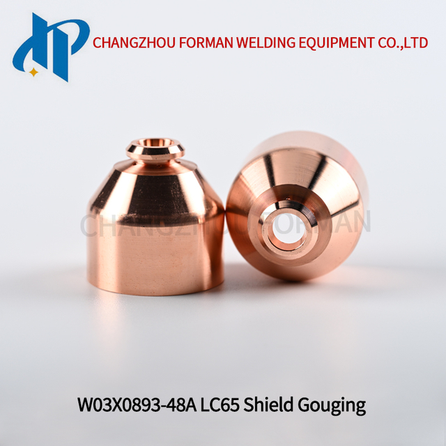 W03X0893-48A Щит для строжки Kp2844-12, подходящий для горелки LC65