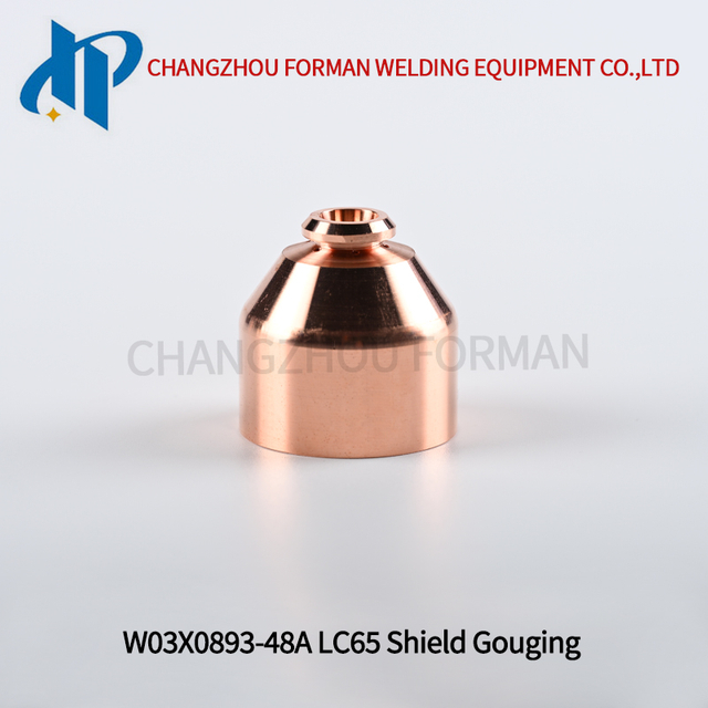 W03X0893-48A Щит для строжки Kp2844-12, подходящий для горелки LC65